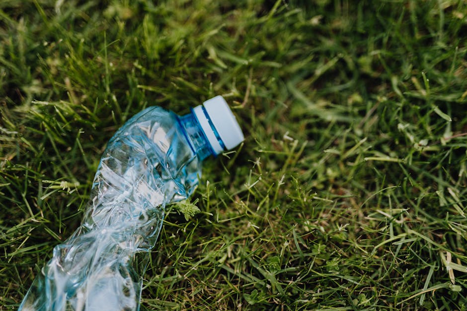 Newham council rules for home rubbish disposal in West Ham